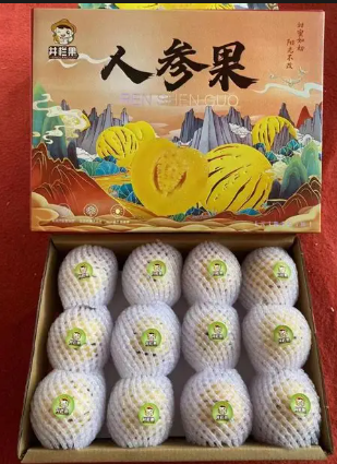 民勤沙漠原生人参果洁净少农残 Minqin Desert Native Ginseng Fruit Clean with Less Pesticide Residue-1.png