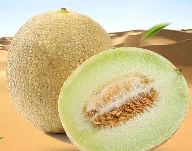 中国瓜王银蒂白兰瓜_跨境高端生鲜蜜瓜_China Melon King Silver Tip Bailan_Export Premium Fresh Melon_العربية：ملك شمام الصين بايلان فضي_فاكهة طازجة للتص_دير الفاخر.png