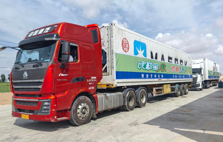 中国瓜王银蒂白兰瓜_跨境高端生鲜蜜瓜_China Melon King Silver Tip Bailan_Export Premium Fresh Melon_العربية：ملك شمام الصين بايلان فضي_فاكهة طازجة للتص_دير الفاخر-2.png
